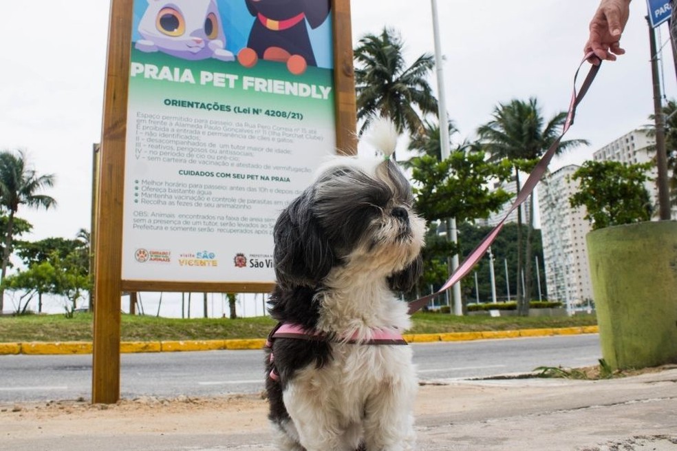 Para evitar queimaduras nas patas dos animais, a recomendação é que os passeios sejam antes das 10h ou após as 18h — Foto: Prefeitura de São Vicente