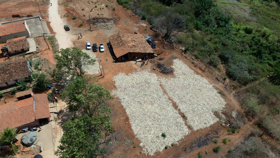 Após 13 anos, engenho volta a funcionar em Cedro. — Foto: Marciel Bezerra
