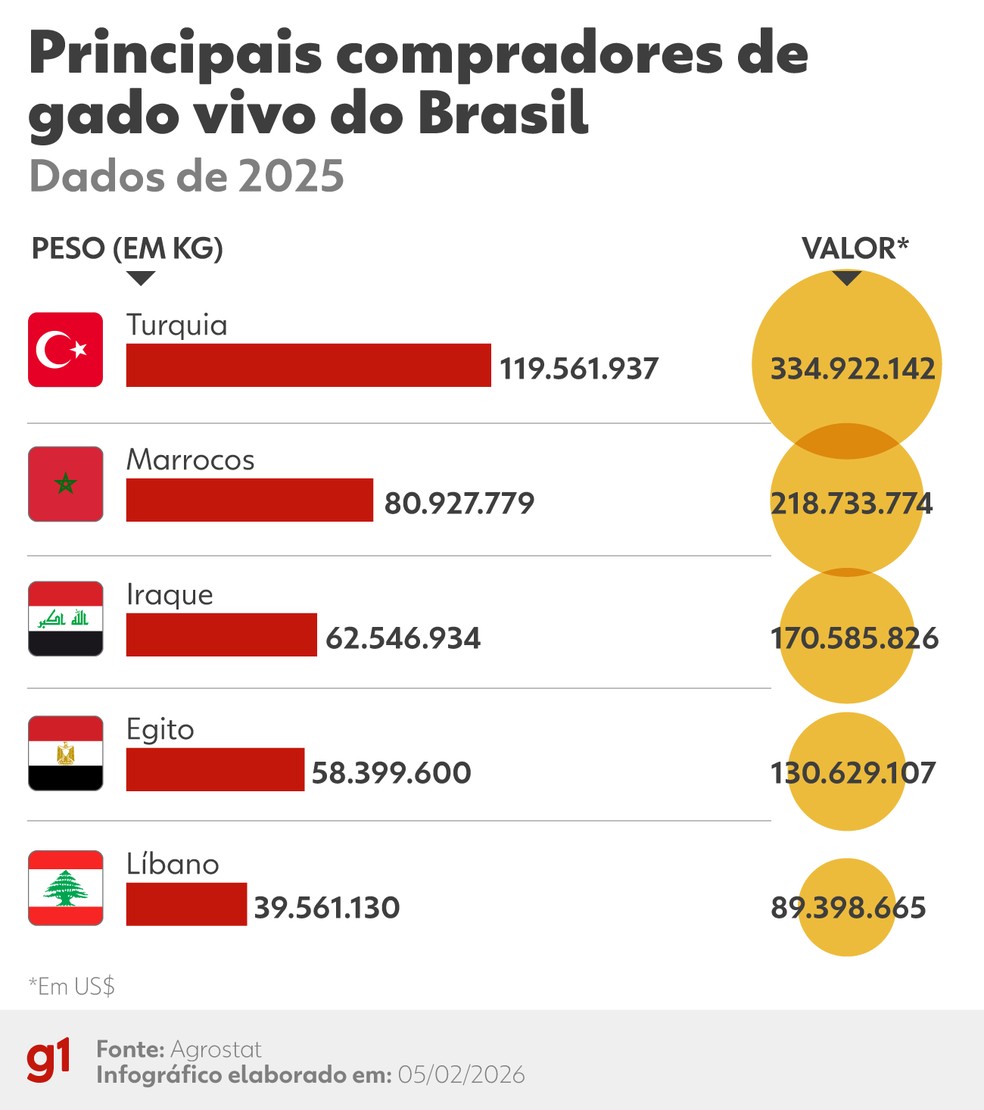 260205 info compradores gado - Exporta&ccedil;&atilde;o de gado vivo dobra em 3 anos, mesmo com cr&iacute;ticas de ambientalistas ao transporte