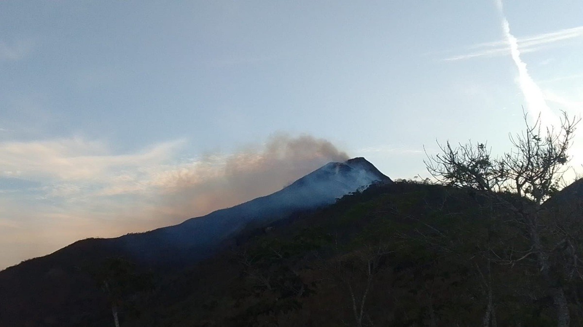 Incêndio atinge área de preservação em Petrópolis e mobiliza bombeiros