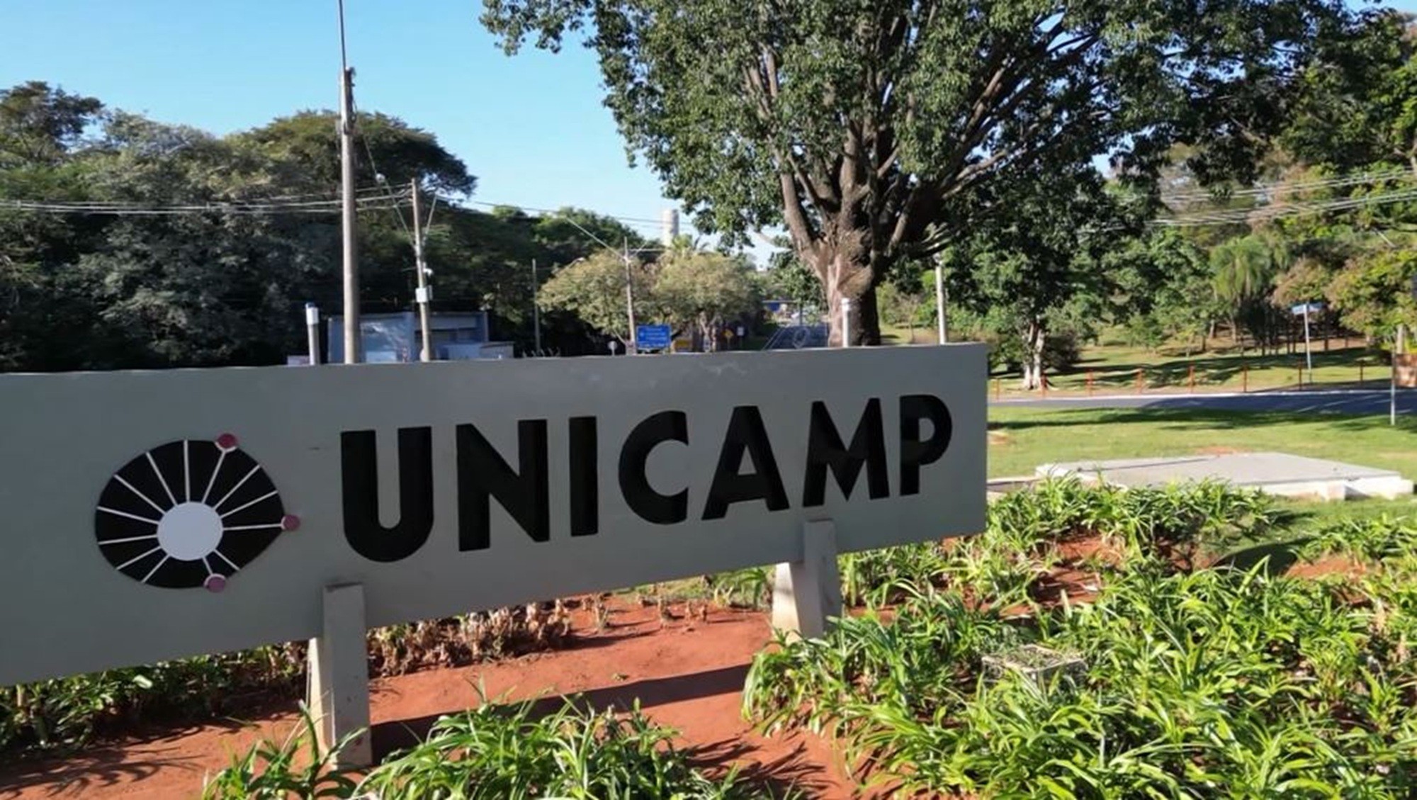 É #FAKE que direita supostamente comandará 'centro acadêmico de direito' da Unicamp; universidade não tem esse curso