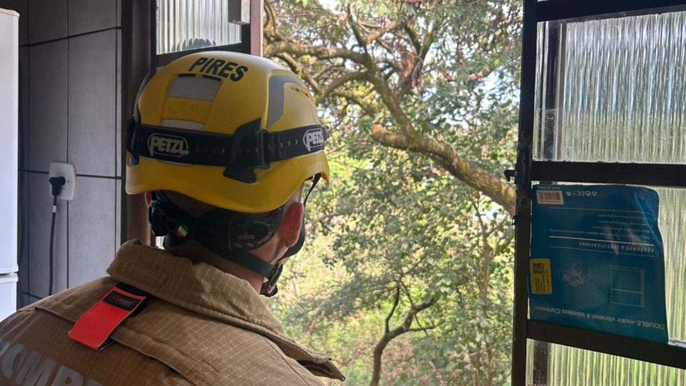 On&ccedil;a estava na zona urbana de Arax&aacute; &mdash; Foto: Corpo de Bombeiros/Divulgados