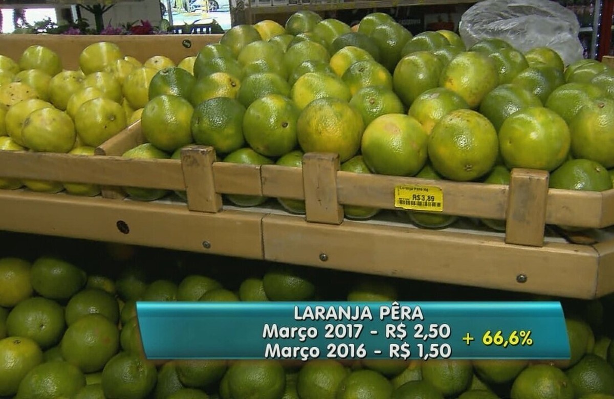 Preço do quilo da laranja sobe até 71 no atacado em Campinas, diz Ceasa Campinas e Região G1