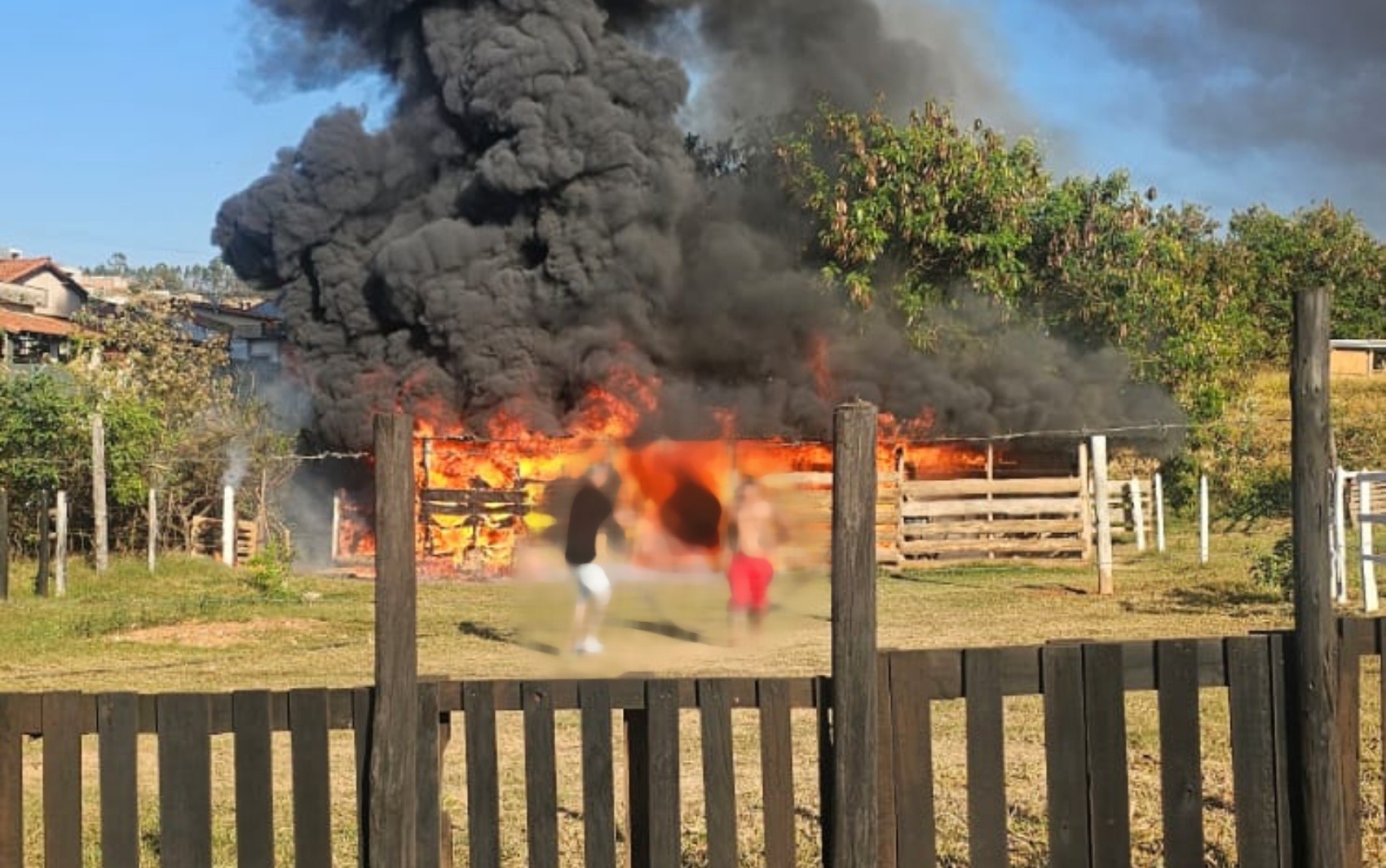 Cavalo morre queimado em incêndio em baia de fazenda no Sul de Minas; ONG suspeita de crime