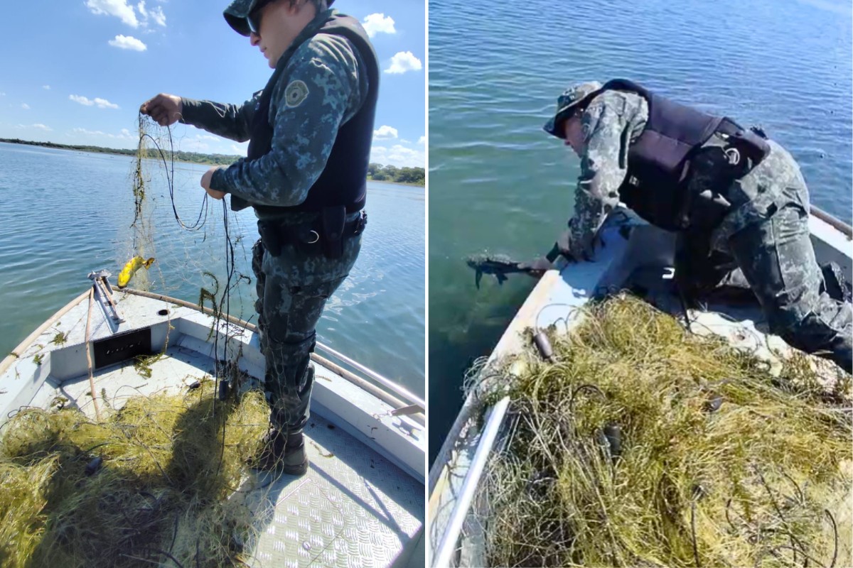 Polícia apreende mais de 1 km de redes de pesca irregulares e devolve 60 kg de peixes ao Rio Paraná
