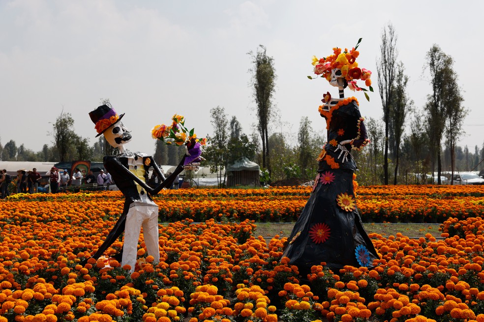 Esculturas de Catrinas em um campo de flores de cempasúchil em San Luis Tlaxialtemalco, nos arredores da Cidade do México, sexta-feira, 17 de outubro de 2025. — Foto: AP/Claudia Rosel
