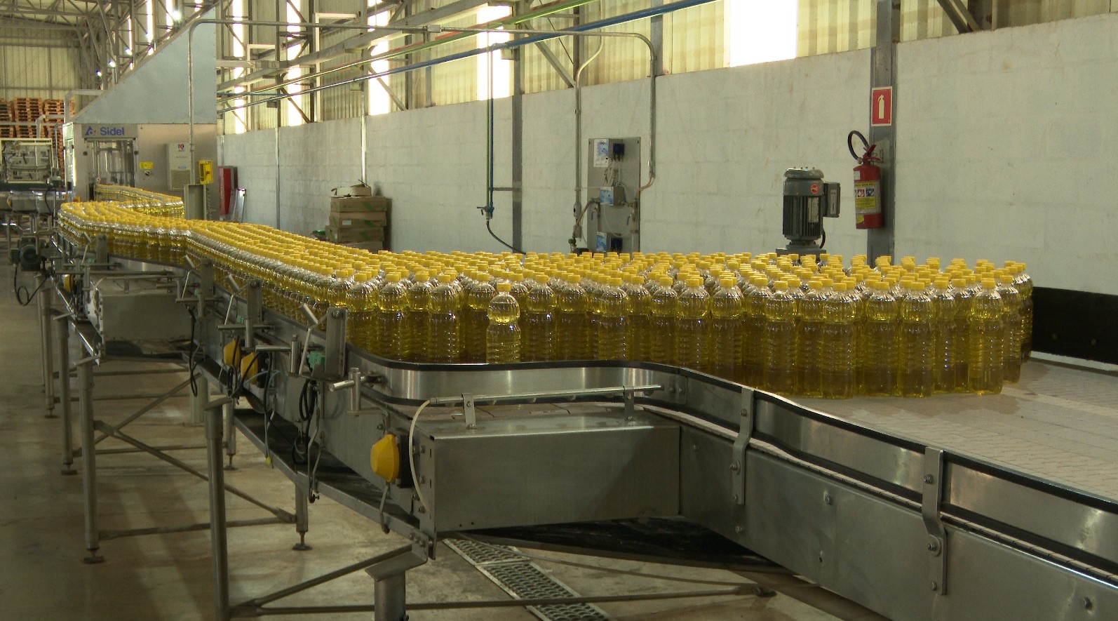 Agroindústria amplia produção e aposta na venda de óleo de soja refinado em Roraima