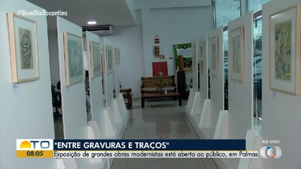 Obras de Tarsila do Amaral e outros artistas modernistas são expostas em Palmas