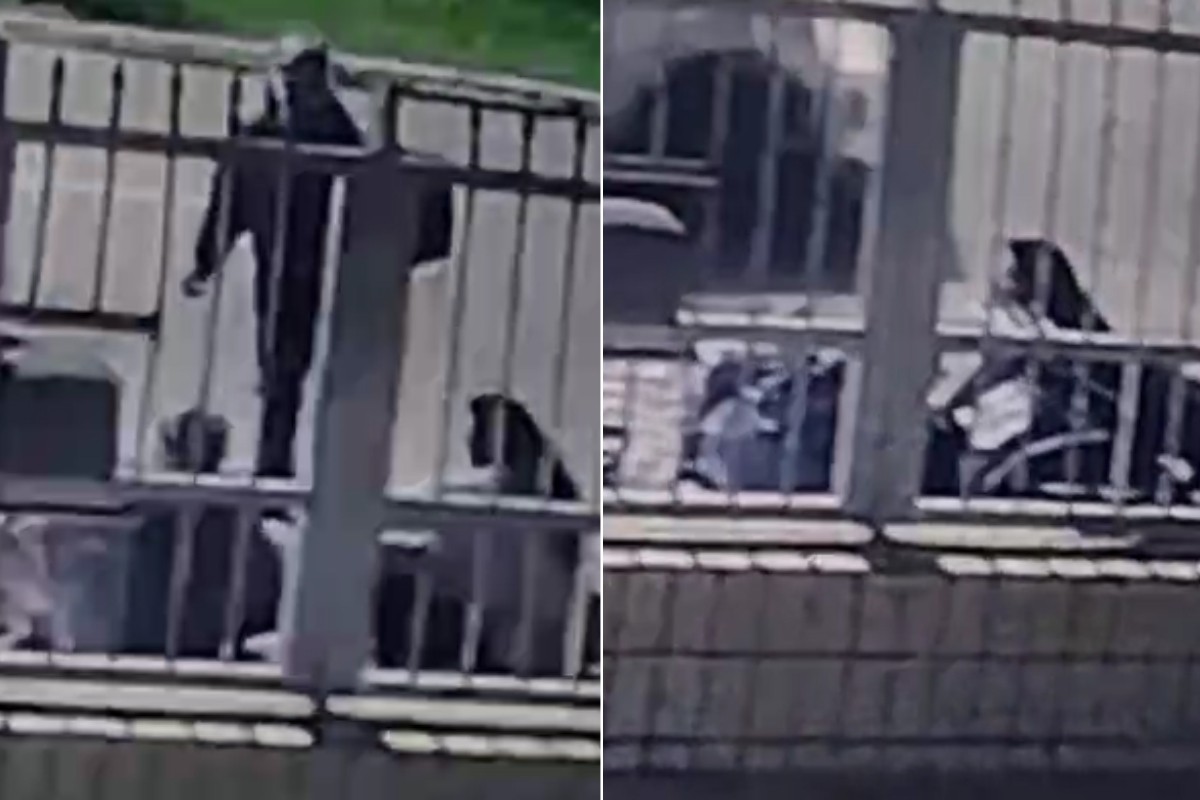 Mulher passa mal e morre durante briga com companheiro após acidente de moto no litoral de SP; VÍDEO