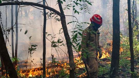 Ministério do Meio Ambiente diz que governo do Amazonas dispensou ajuda federal contra queimadas