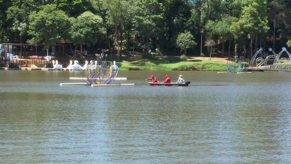 Homem morre afogado e outro desaparece após cair no Lago Igapó durante festa da virada, em Londrina — Foto: Reprodução/RPC
