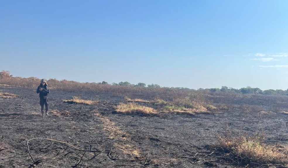 Investigação da Polícia Federal em área atingida por incêndios em Corumbá (MS) — Foto: Divulgação