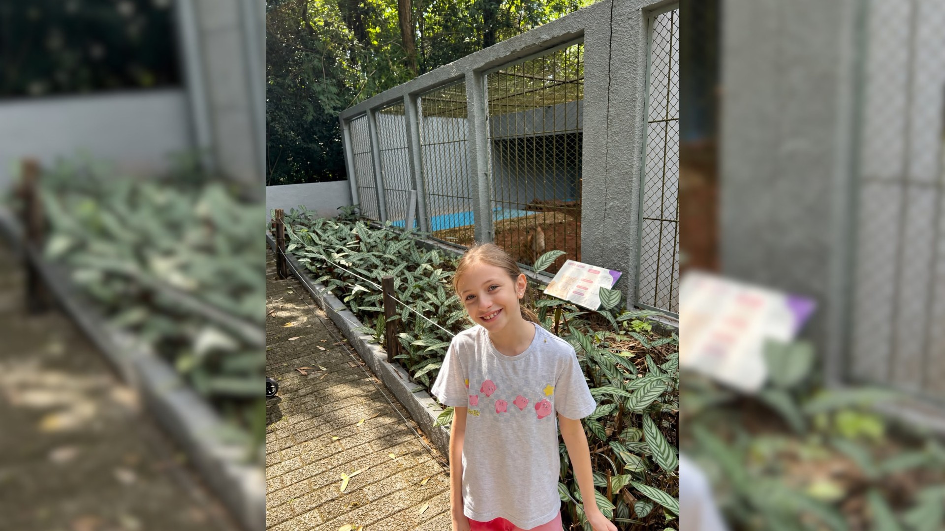 Menina de 8 anos que batizou filhotes de onça-parda como 'Café e Cacau' se inspirou em tradição cafeeira de Garça