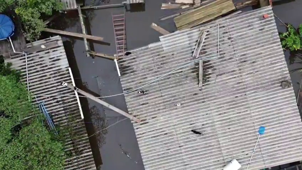 VÍDEO: morador usa drone para alimentar gatos que ficaram ilhados em bairro alagado de Itapetininga
