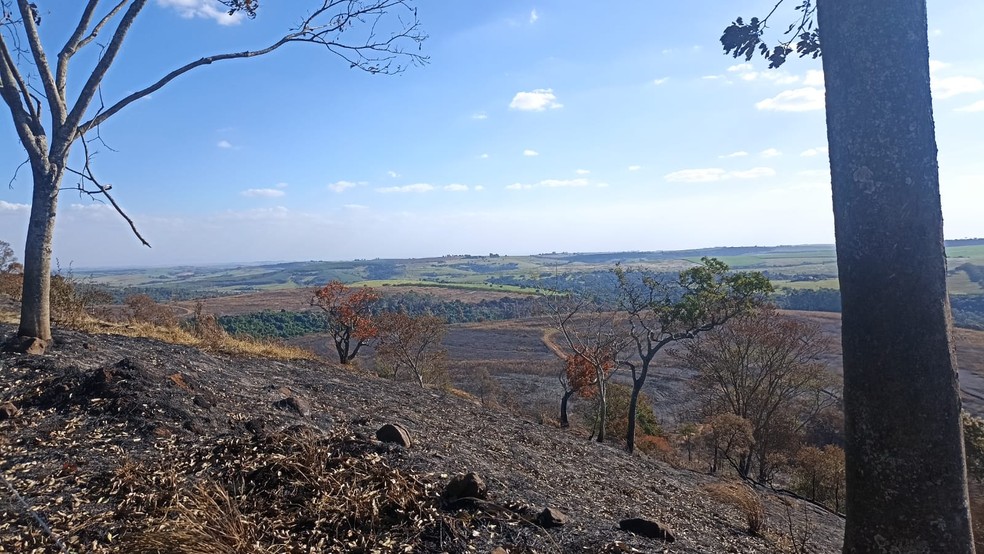 Entre a última semana de agosto e as duas primeiras de setembro, Piracicaba (SP) teve aproximadamente 2.171 hectares de áreas de pastagem, cana-de-açúcar e vegetação atingidos pelos incêndios. — Foto: Polícia Ambiental de Piracicaba