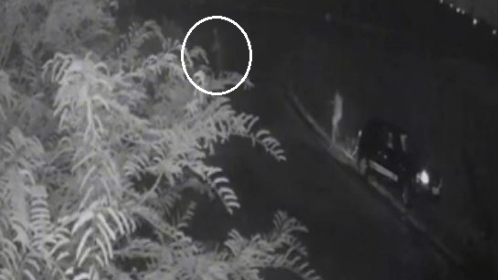 Mulher salta de carro em movimento para fugir de agressão e é salva por policiais; vídeo