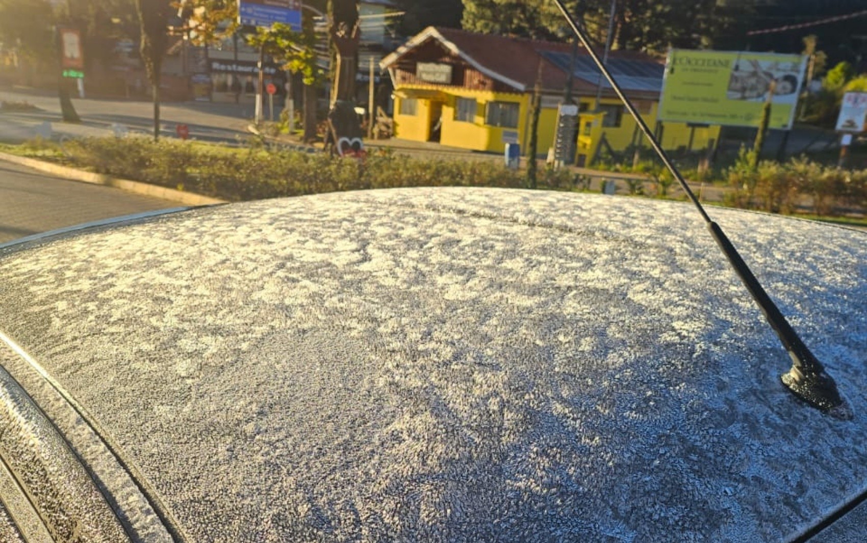 Geada cobre Monte Verde, na Serra da Mantiqueira, após temperatura chegar a 0,4°C em estações locais