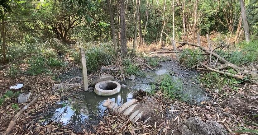 Moradora sofre com mau cheiro de esgoto lançado em ribeirão que deságua no Rio Piracicaba: 'não dá pra ficar em casa'