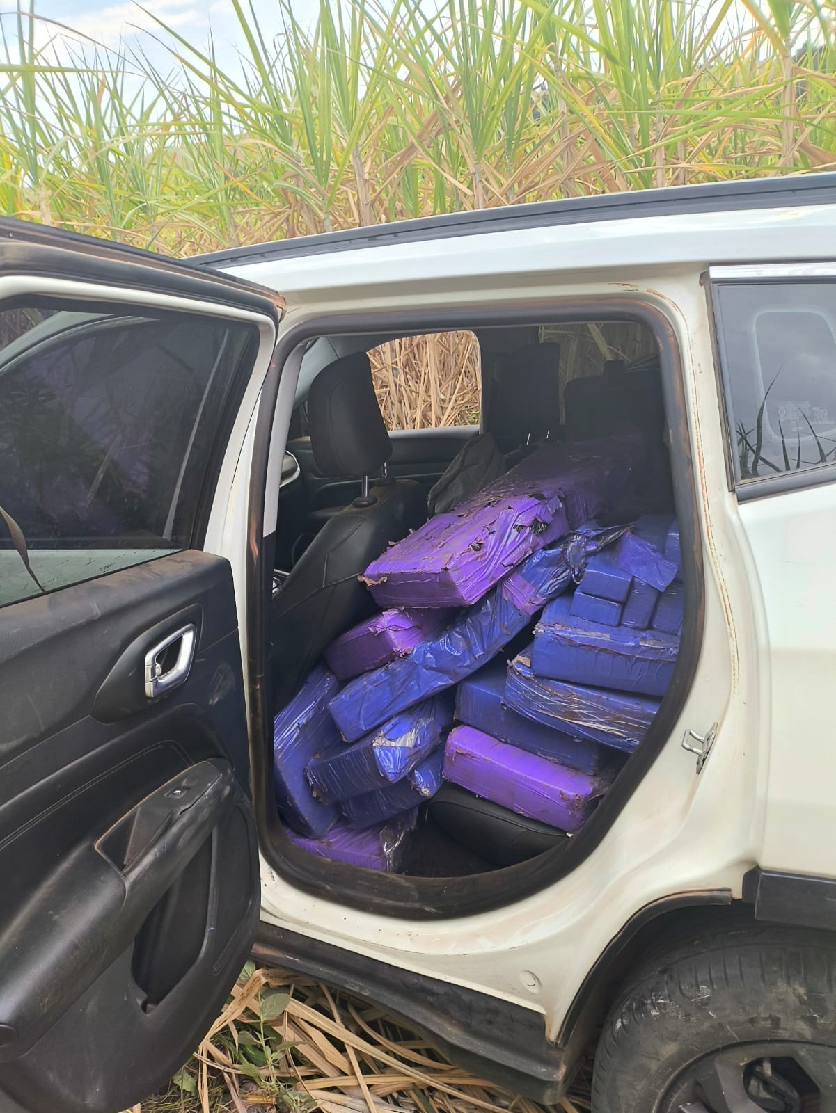 PM apreende 456 quilos de maconha dentro de carro furtado em Ipeúna, no interior de SP