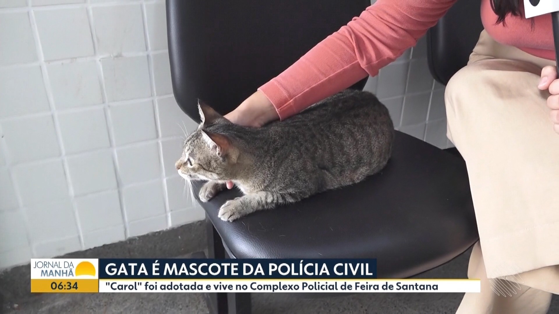 Vídeos do g1 e TV Bahia - sexta-feira, 5 de setembro de 2025