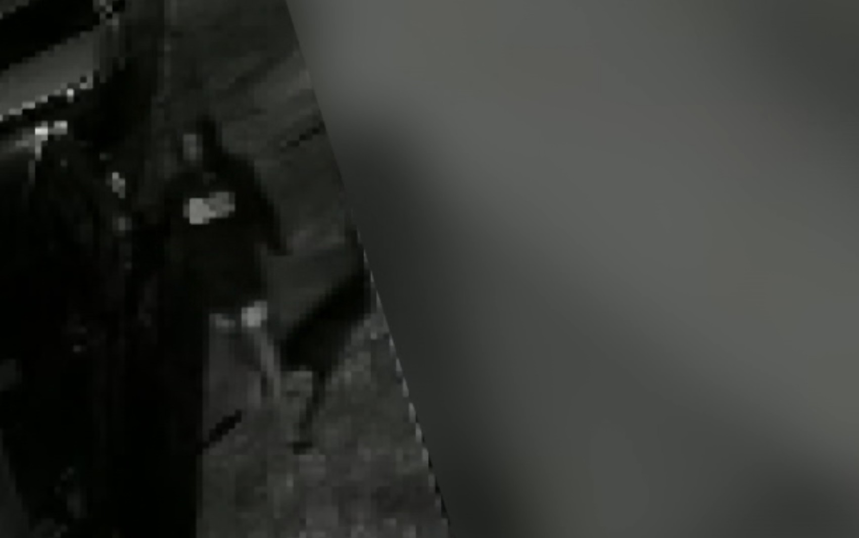 Criança de 10 anos é suspeita de furtar moto em Ribeirão Preto, SP