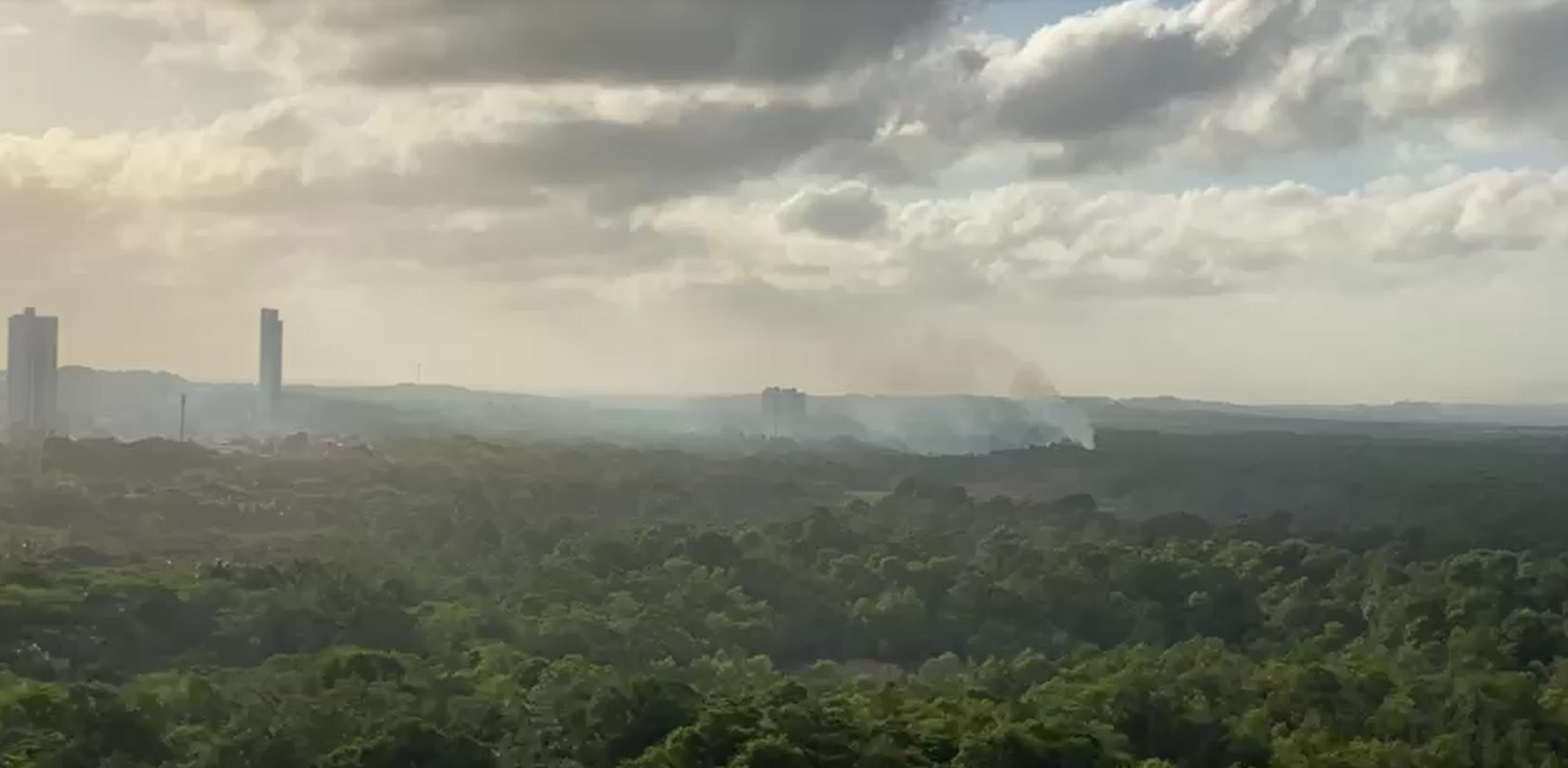 Incêndio atinge área de vegetação do Parque do Cocó, em Fortaleza
