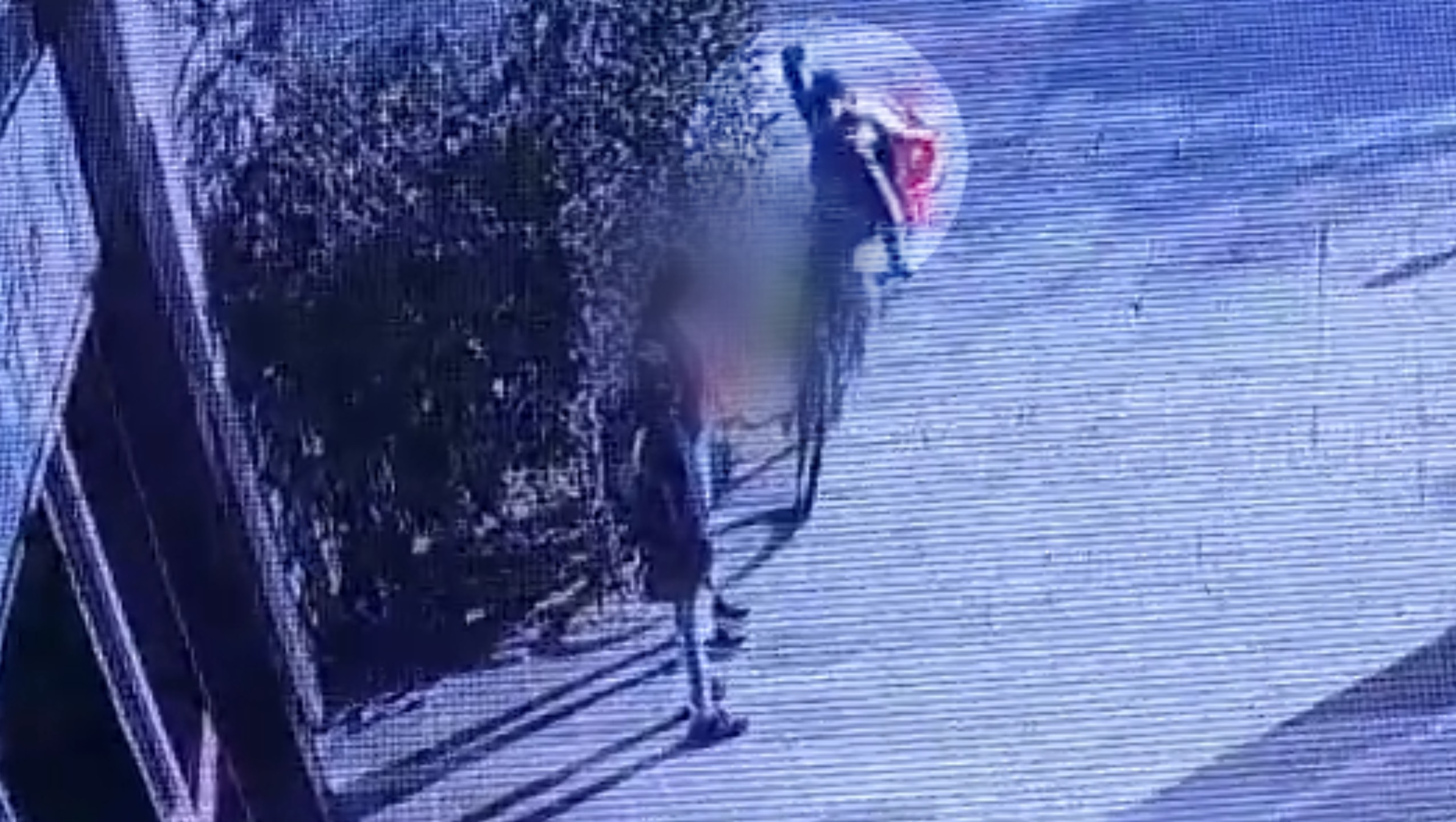 Polícia prende suspeito de esfaquear e estuprar mulheres em Porto Alegre; vídeo mostra homem de bicicleta atacando vítima
