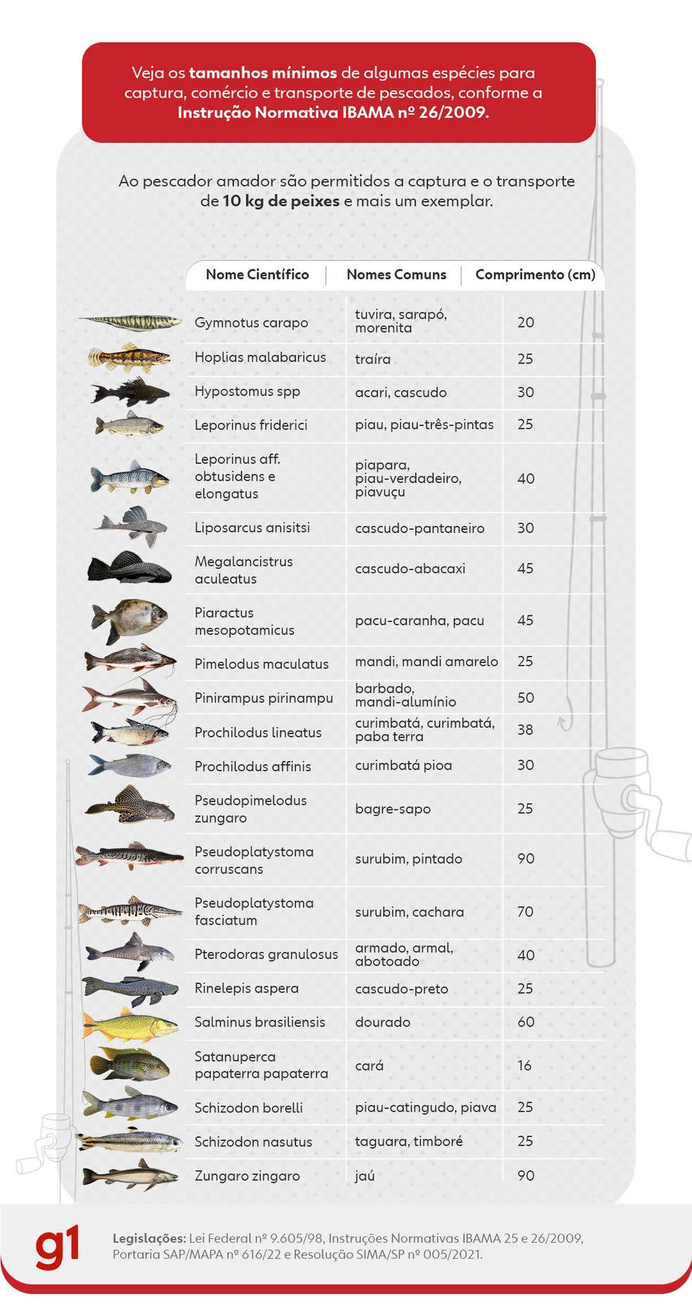 Normas indicam tamanho permitido por espécies para pesca — Foto: Mariele Santos/TV TEM
