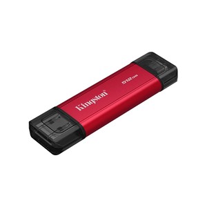 Kingston SPSD 512 GB