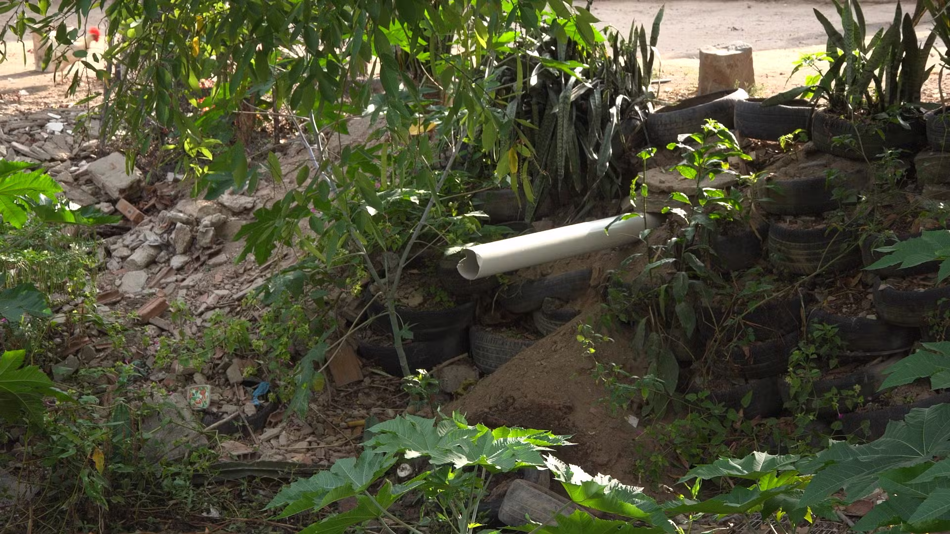 Após mortandade de peixes, estudo aponta degradação do Canal das Piabas e escoamento de poluição para o Açude Velho, em Campina Grande