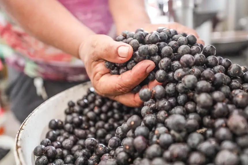 Belém concorre a prêmio nacional de  melhor destino de turismo gastronômico