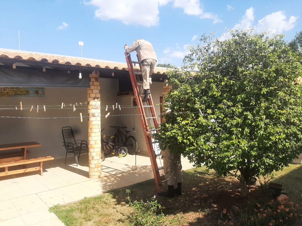 A equipe foi até a casa de Vinícius para resgatar o brinquedo — Foto: Arquivo pessoal