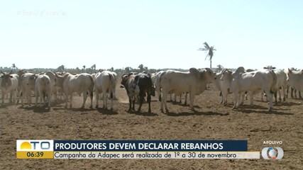 Prazo para declarar rebanho acontece entre 1º a 30 de novembro