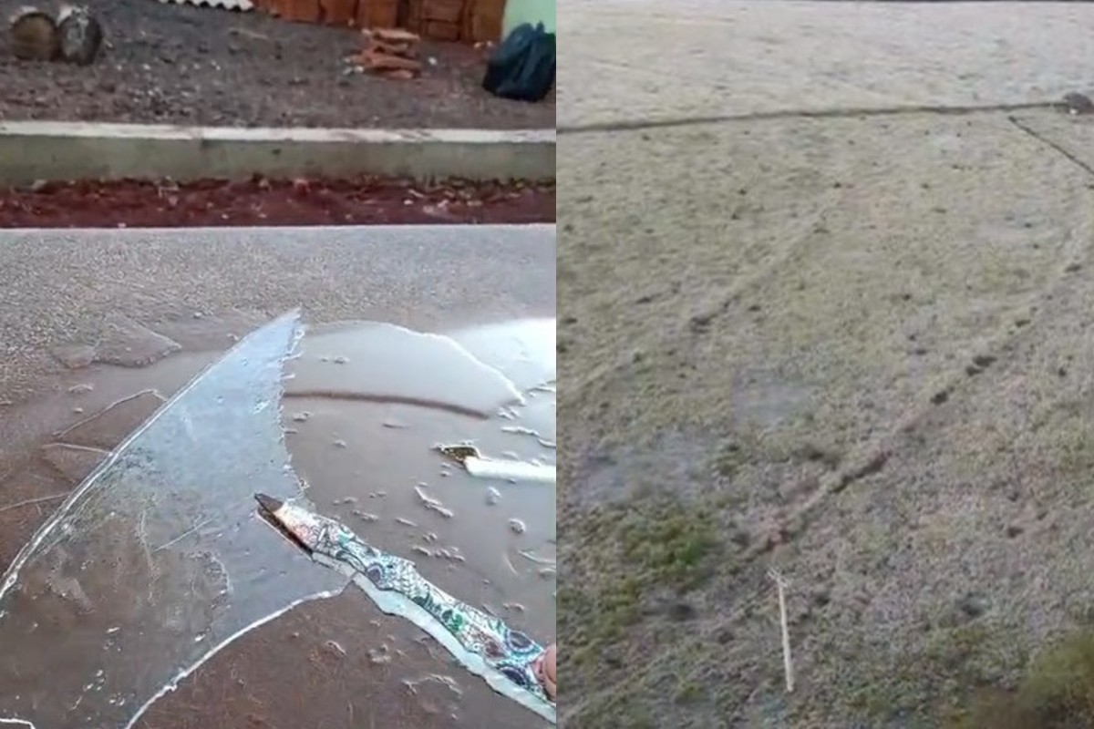 Piscina e campos congelados: frio e geada se espalha por MS | G1