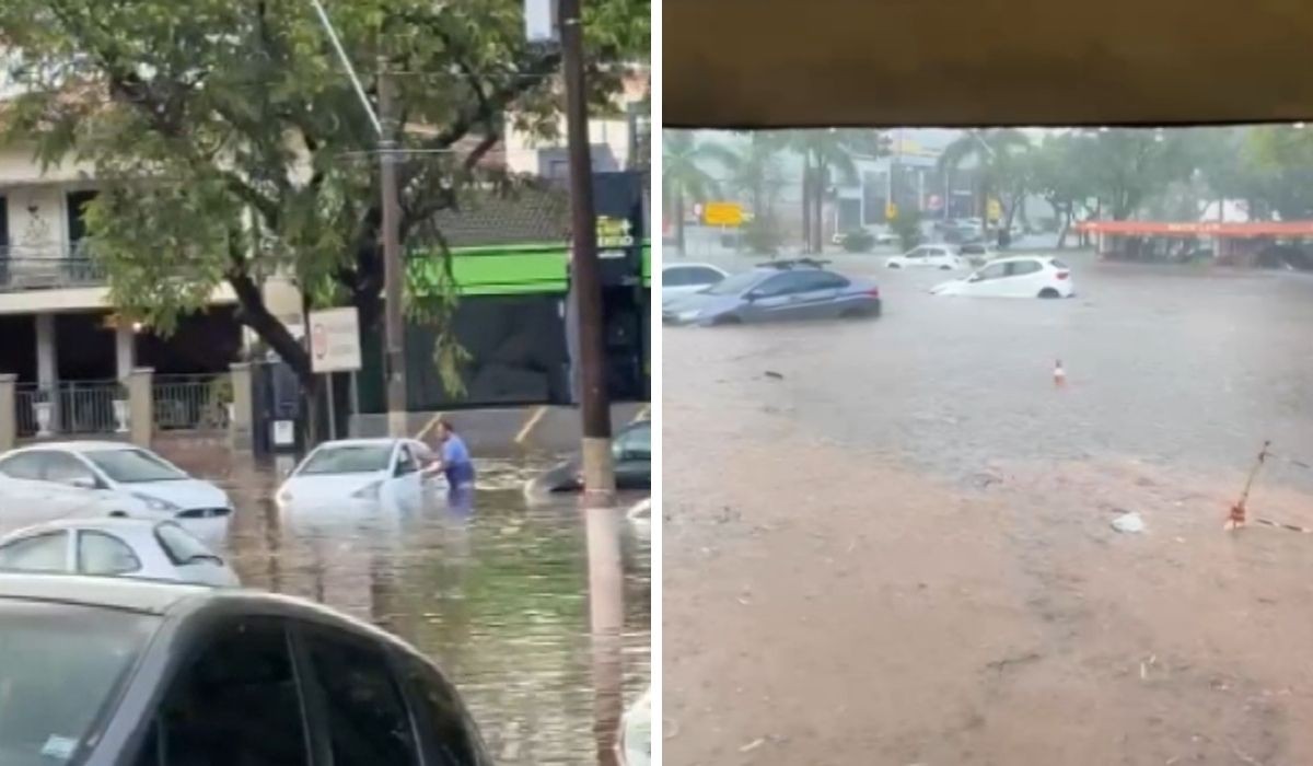 Moradores de Campinas relatam desespero ao ver veículos submersos após alagamento: 'Água chegou até o retrovisor'