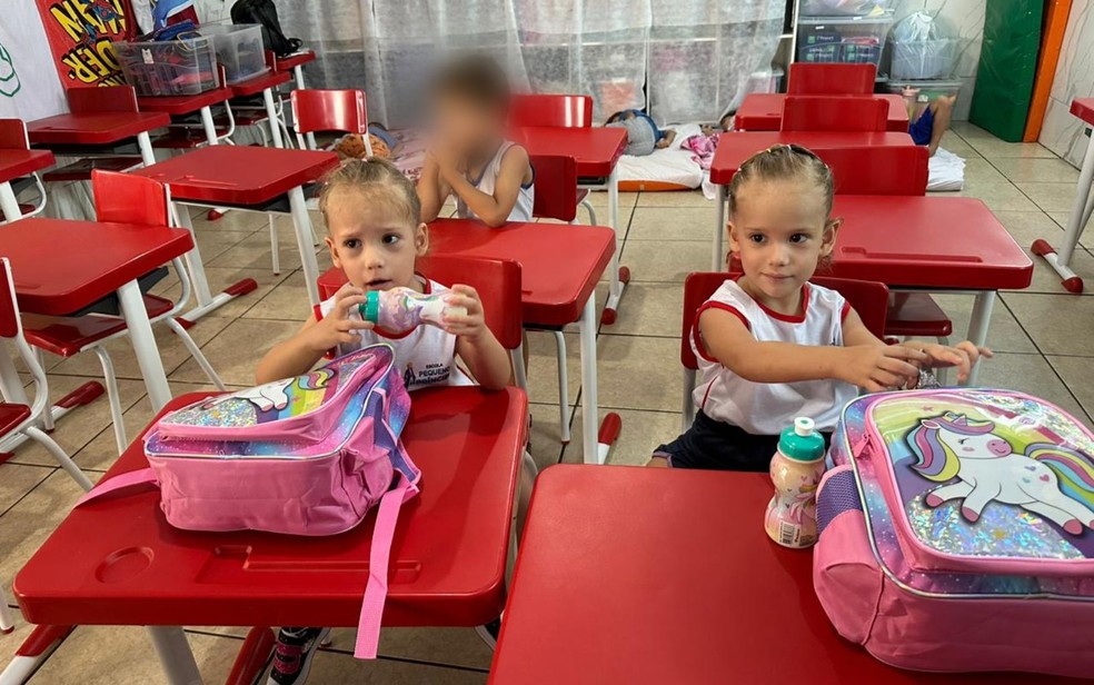Gemêas Heloá e Valentina, separadas em Goiânia, Goiás — Foto: Arquivo Pessoal/Waldirene Prado