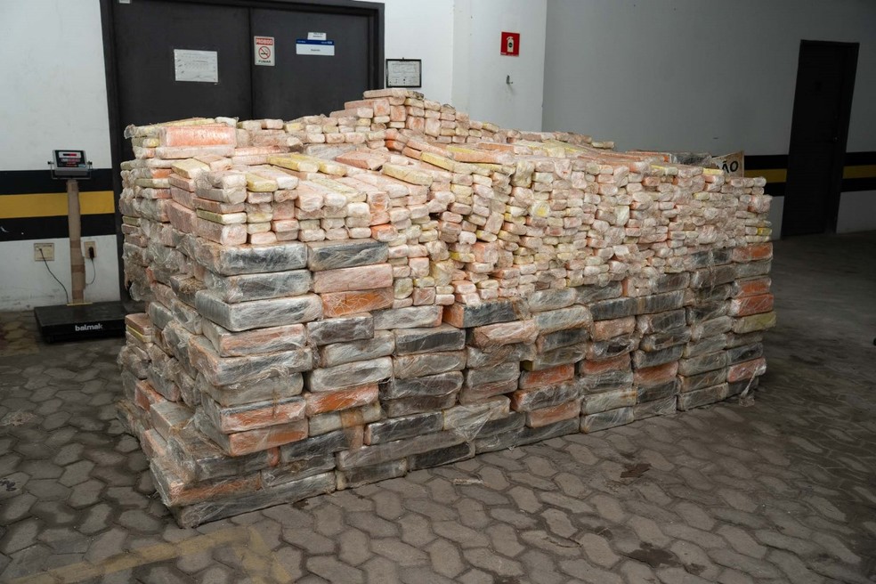 Quase 3 toneladas de drogas apreendidas no Espírito Santo foram levadas para sede da Polícia Federal — Foto: Divulgação/PCES
