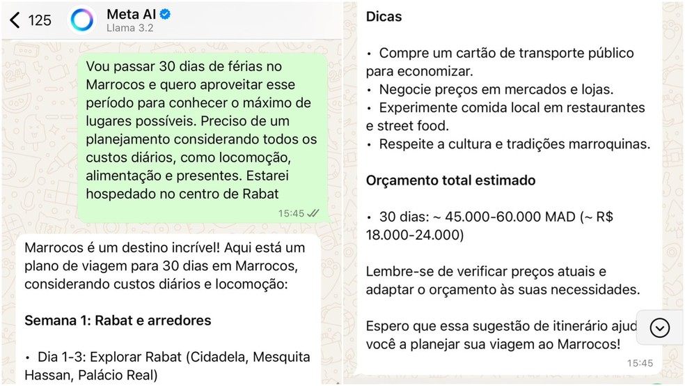 Meta AI em uma simulação de planejamento de viagem — Foto: Reprodução/WhatsApp