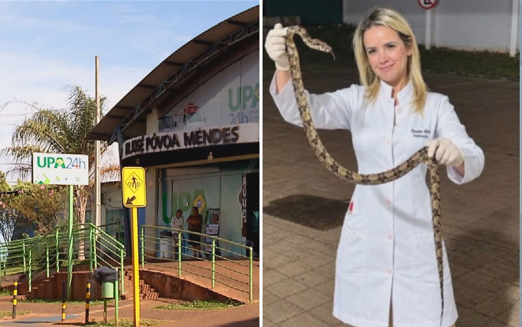Mulher é picada por cobra, consegue capturá-la e a leva a hospital; veja