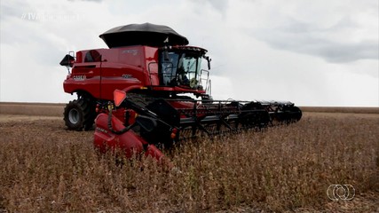 Entenda como funciona uma colheitadeira agrícola