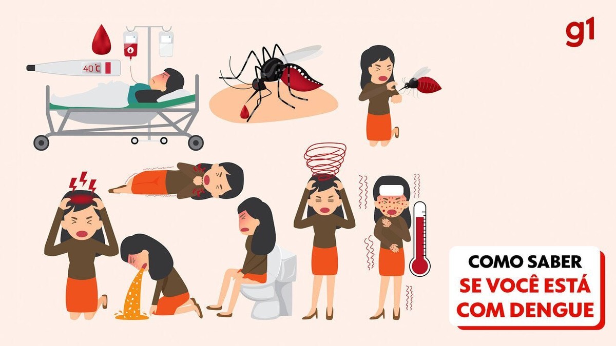 'Contramão da dengue': entenda por que o Ceará tem poucos casos enquanto a doença cresce no país