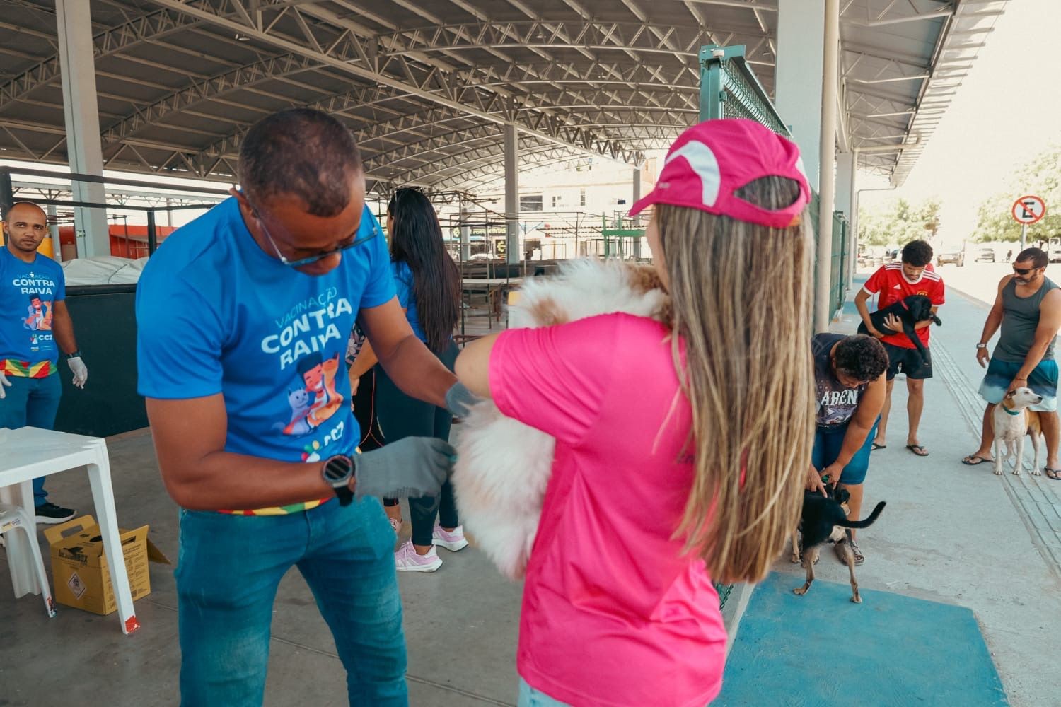 Vacina antirrábica em Petrolina: confira o cronograma de dezembro 