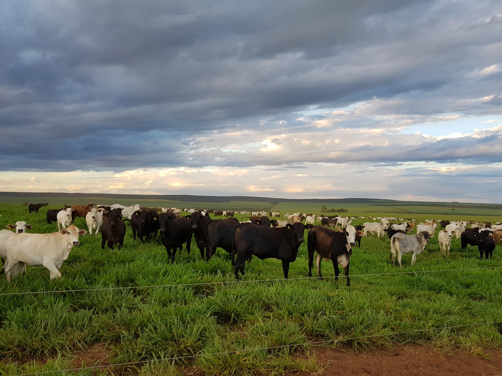 Influenciado por cenário no agro, saldo de empregos fica negativo na região de Piracicaba em novembro