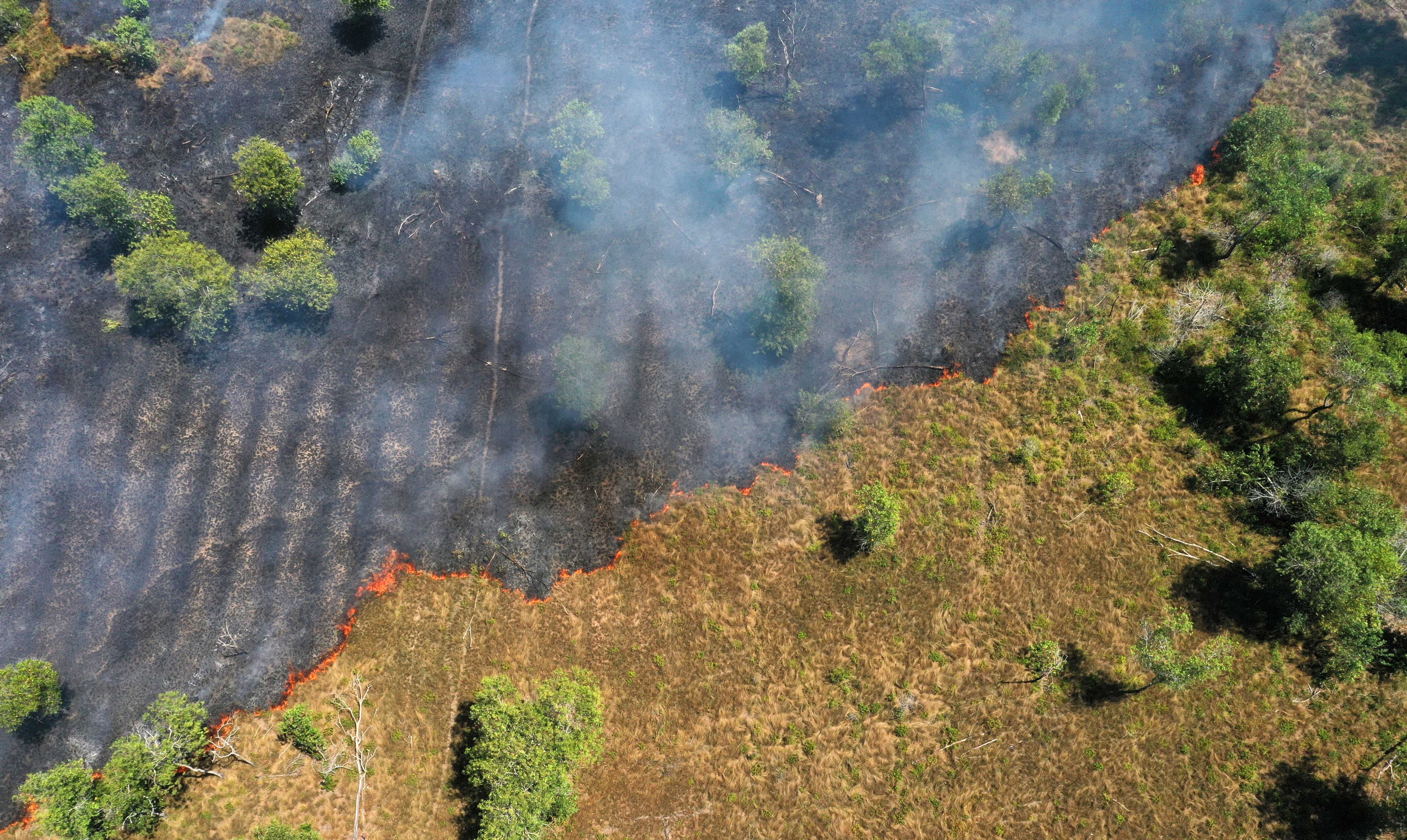 Estudo aponta queda de até 13,9% nas chuvas do sul da Amazônia até 2050
