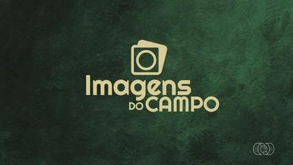 Equipe registra anta no Imagens do Campo