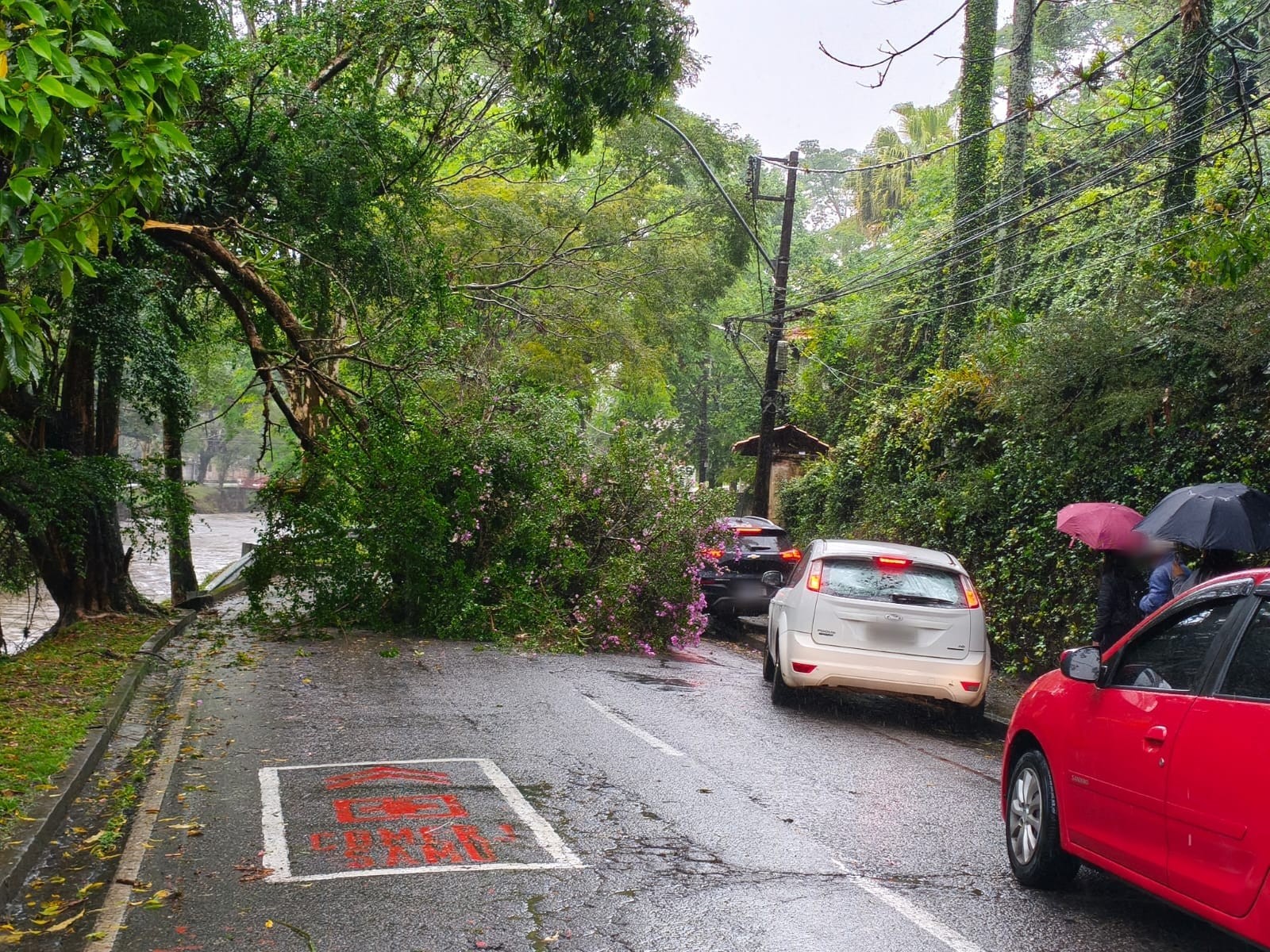Petrópolis registra 30 ocorrências devido às fortes chuvas que atingiram a cidade no fim de semana
