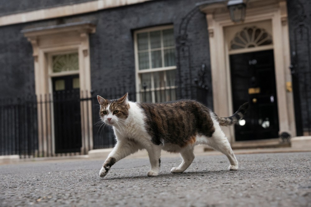 Gato Larry recebe seu sétimo chefe de governo na residência oficial da Downing Street