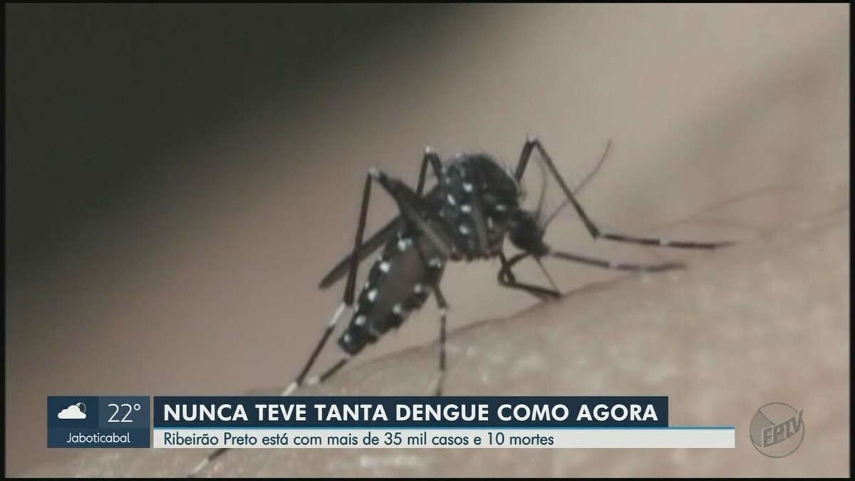 Com 10 mortes e mais de 35 mil casos, Ribeirão Preto bate recorde histórico de ocorrências de dengue