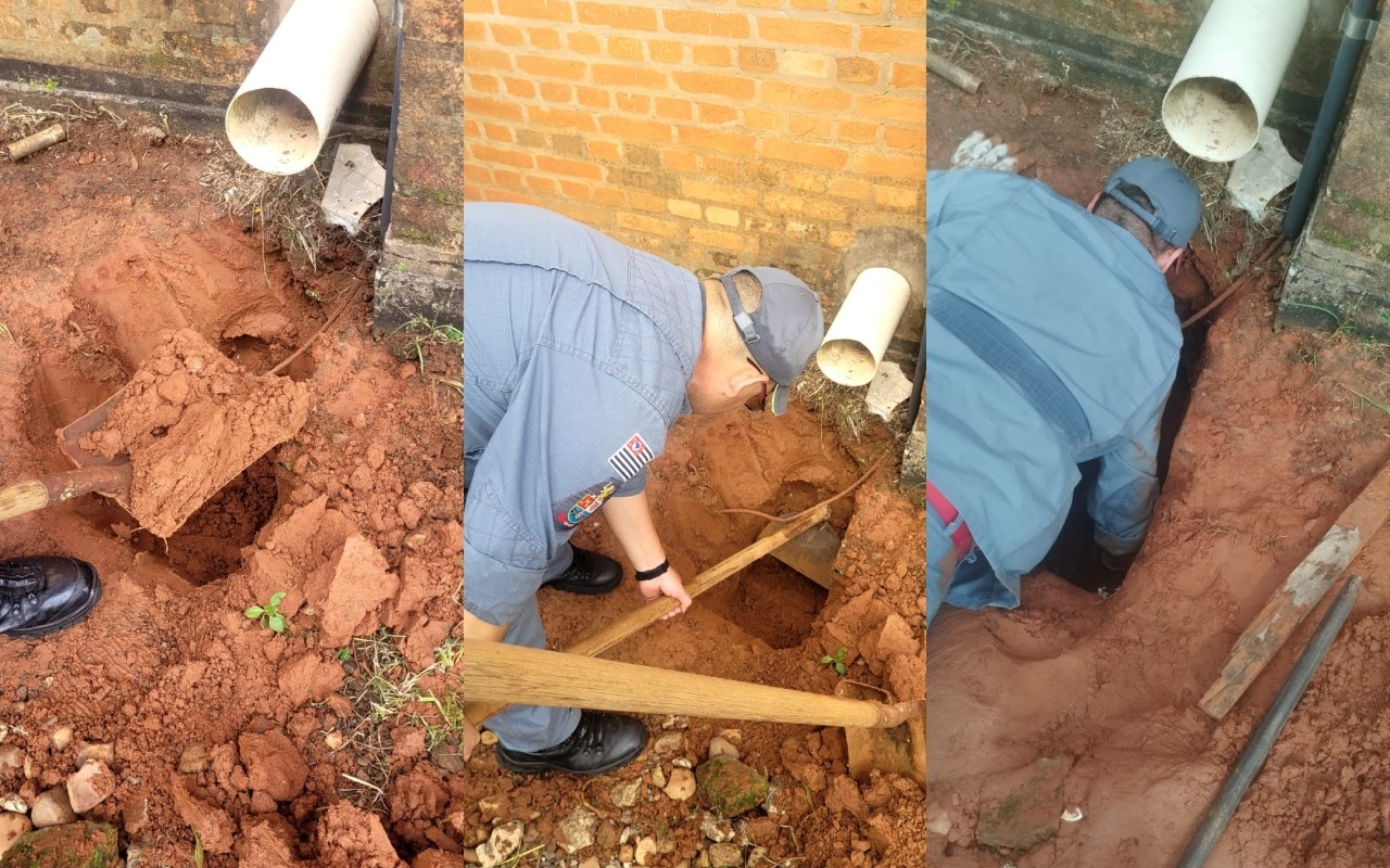 VÍDEO: bombeiros cavam buraco para resgatar filhote de gato preso em tubulação em Avaré