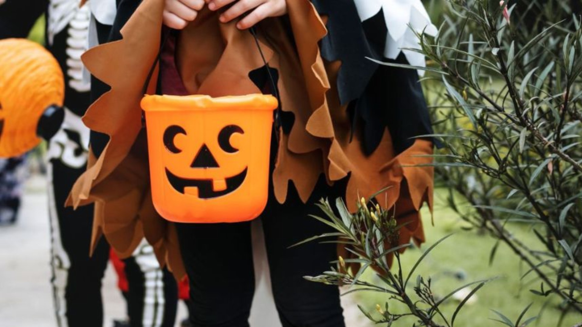 Fim de semana prolongado no Sul de Minas tem halloween, música, gastronomia e mais; veja o que fazer